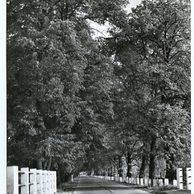 E 26730 - Sedmihorky 