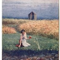 C 40991 - Svaté pole