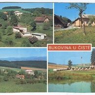 F 28021 - Bukovina u Čisté