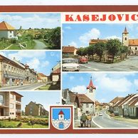F 28143 - Kasejovice