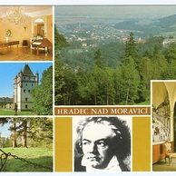 F 28781 - Hradec nad Moravicí