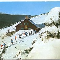 F 29141 - Jeseníky2