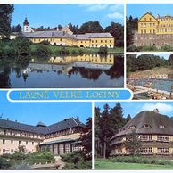 F 29190 - Velké Losiny