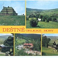 F 29309 - Deštné v Orlických horách 