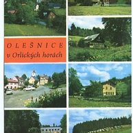 F 29323 - Olešnice v Orlických horách 