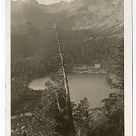 Vysoké Tatry - 30384