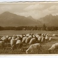 Vysoké Tatry - 30765