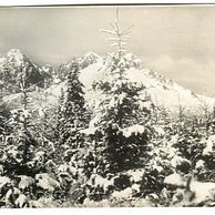 Vysoké Tatry - 30787