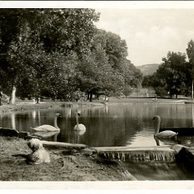 Trenčianské Teplice - 30867