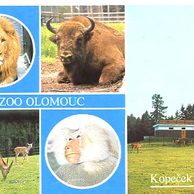 F 31197 - Olomouc (Olmütz)2 