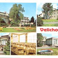 F 002975 - Velichovky