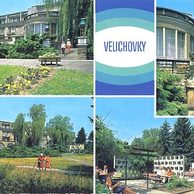 F 002974 - Velichovky