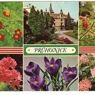 F 32558 - Průhonice