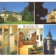 F 33635 - Raduň