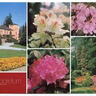 F 33644 - Nový Dvůr