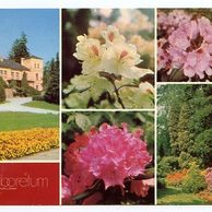 F 33645 - Nový Dvůr