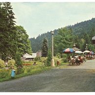 F 33724 - Jánské Koupele 