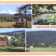 F 41042 - Orlické hory 