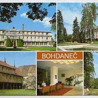 F 44421 - Bohdaneč 