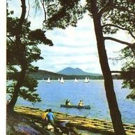 F 34258 - Máchovo jezero