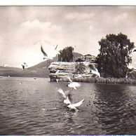 E 34350 - Máchovo jezero