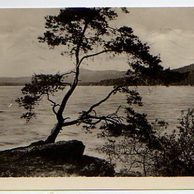 E 34457 - Máchovo jezero