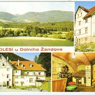 F 34882 - Podlesí u Dolního Žandova 