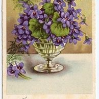 C 38561 - Srdečné blahopřání k narozeninám