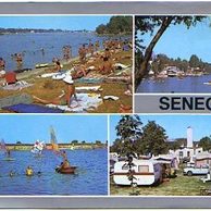 Senec - 35244