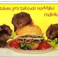 F 36026 - Pozdrav pro takovou normální rodinku!!!