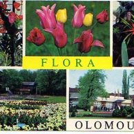 F 36243 - Olomouc (Olmütz)2 