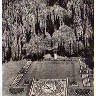 E 36398 - Poděbrady 