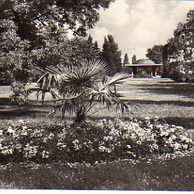 E 36443 - Poděbrady 