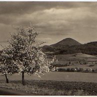 E 36836 - Litoměřice