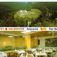 F 37239 - Malenovice 