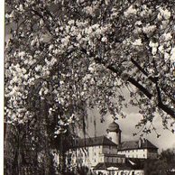 E 37923 - Poděbrady 