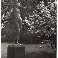 E 37920 - Poděbrady 