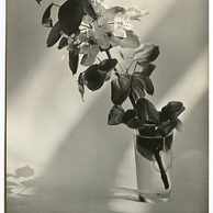 E 38315 - Srdečné přání