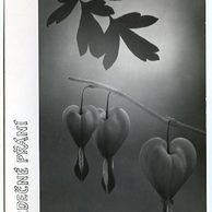 E 38318 - Srdečné přání