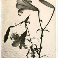 E 38316 - Srdečné přání