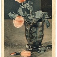 C 38325 - Srdečné blahopřání k jmeninám