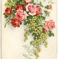 C 38326 - Srdečné blahopřání 