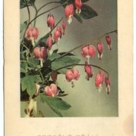 C 38327 - Srdečné přání 