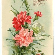 C 38334 - Srdečné blahopřání 