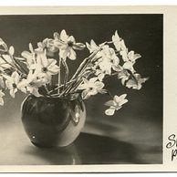 D 38341 - Srdečné přání