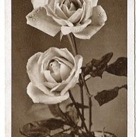 D 38345 - Srdečné blahopřání k jmeninám