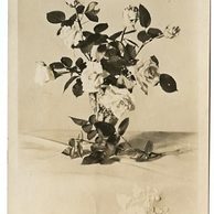 D 38340 - Srdečné přání