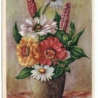 C 38350 - Srdečné blahopřání k narozeninám