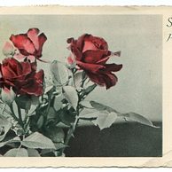 C 38356 - Srdečné přání