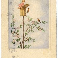 C 38357 - Srdečné blahopřání k narozeninám